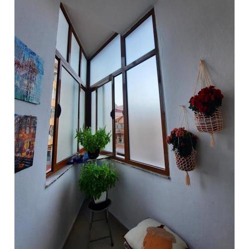 House B+B