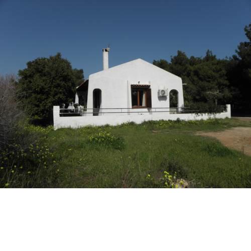 House By The Sea