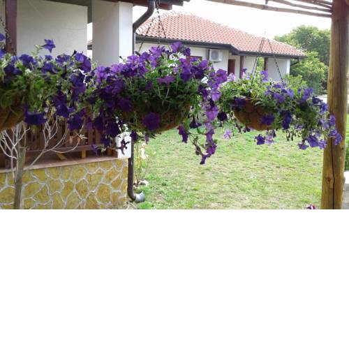 House Eco Village San
