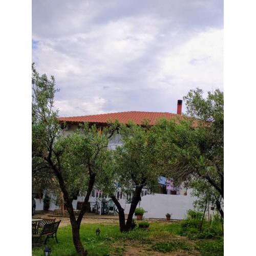 House Eugenia sarti