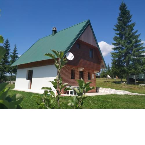 House in forest