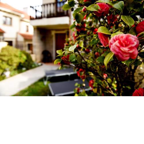 House Las Camelias Somo