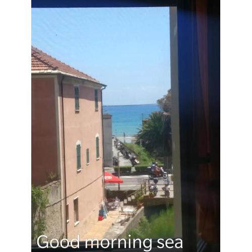 House of fly with sea view, front the beach