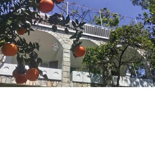 House Orange Apartments