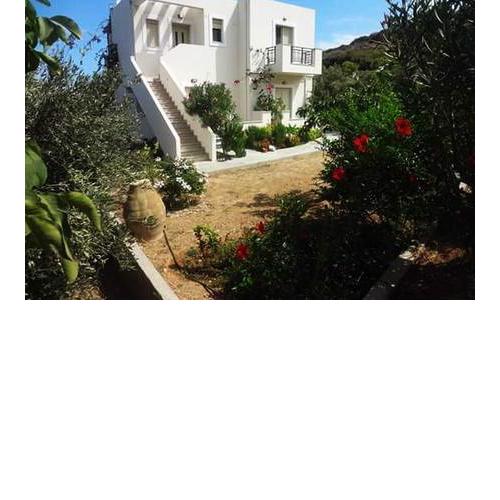 House surrounded by olive trees