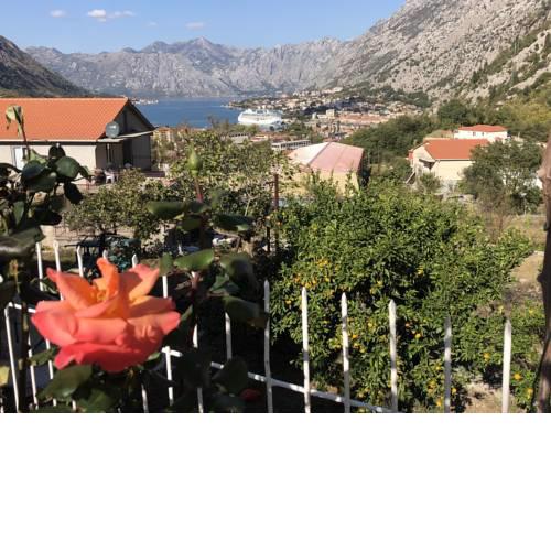 House with a Beautiful View of Kotor