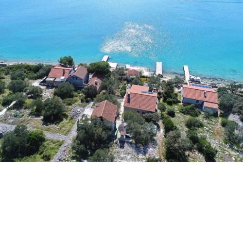 House Zelanto Veli