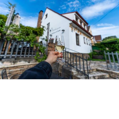 Husí plácek