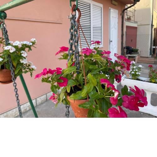 I Colori della Quiete