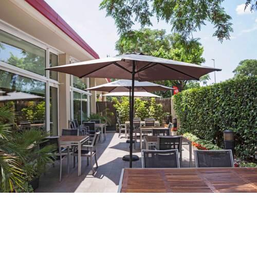 Ibis Cornella