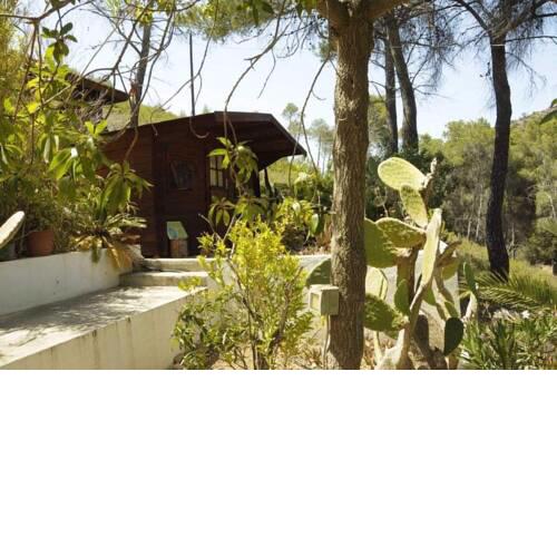 Ibiza Yoga - The Meditation Hut
