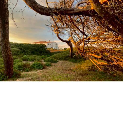 Il Canneto