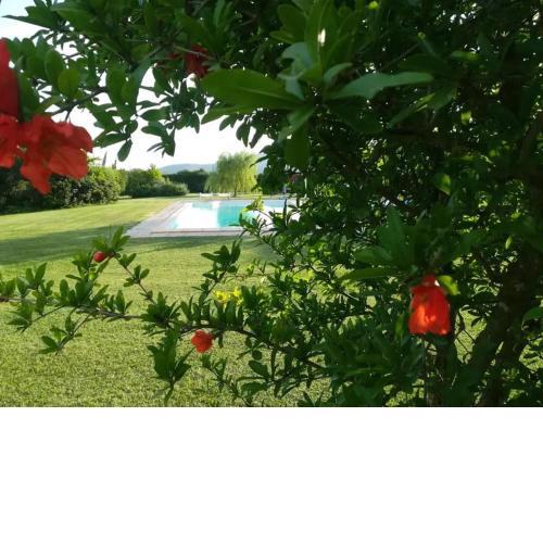 "IL CASALE DEI GIRASOLI" Country House in Capalbio