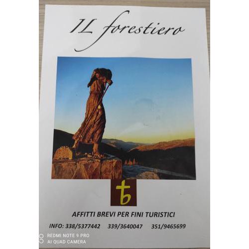 Il Forestiero