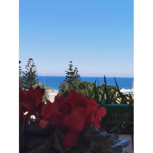 Il Gabbiano casa al mare
