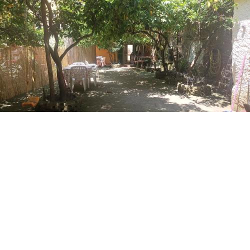Il giardino nascosto