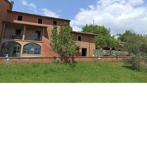 Il Glicine rustico Garfagnino