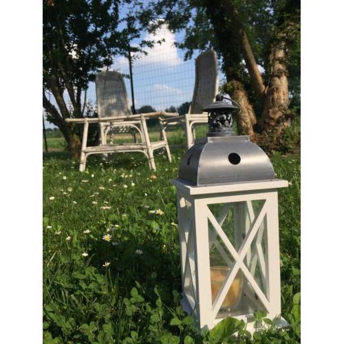 IL "Green " IN GIARDINO