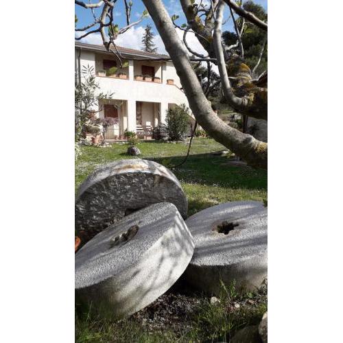 Il Mulinetto