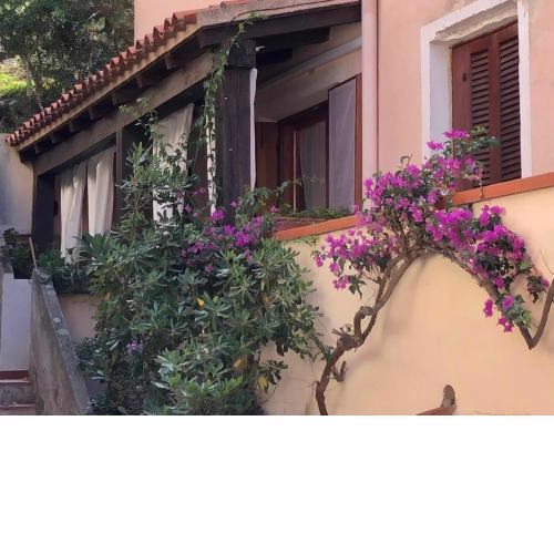 Il nido di Luca a Porto Rotondo