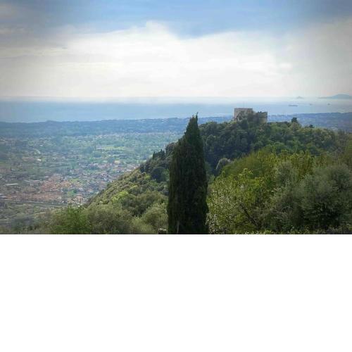 Il nido tra le nuvole
