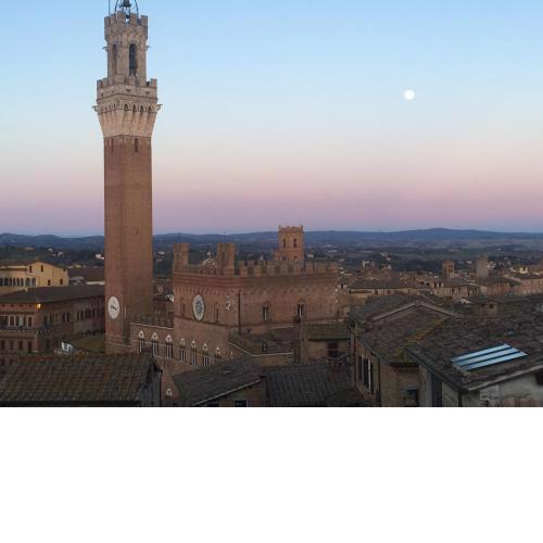 Il NIDO