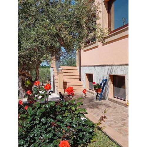 Il Poggetto Marzamemi B&B