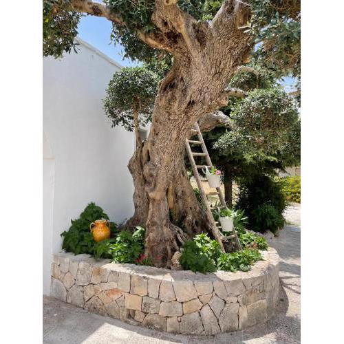 Il trullo di nonno Licchio
