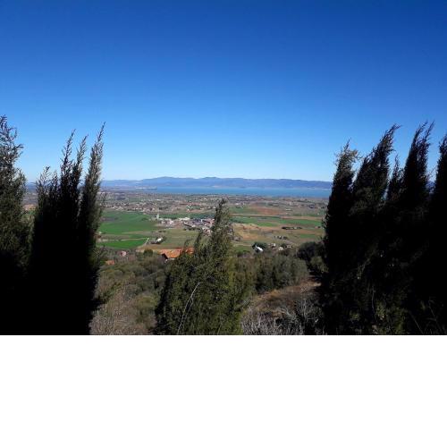 Il vecchio frantoio