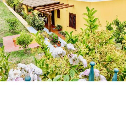 Il Veliero Blu B&B Lipari Centro