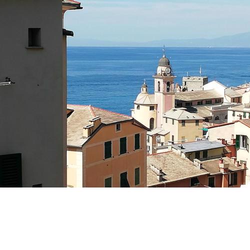 IL VELIERO