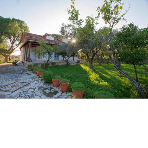 Ilenia's House
