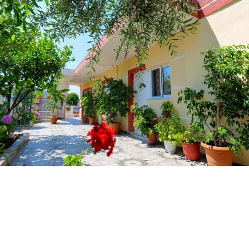 Ilias House