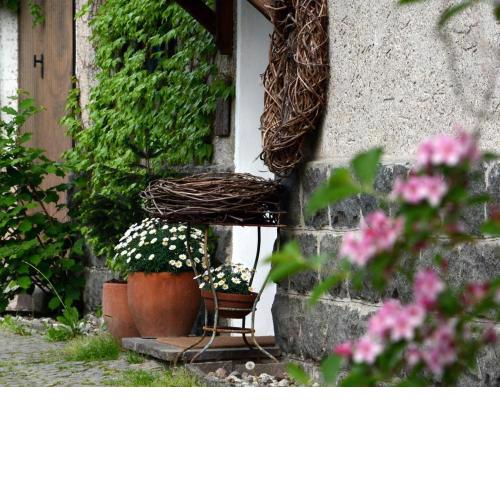 im garten 9