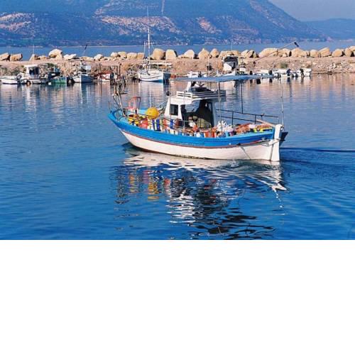 Imagine Your Family Renting a Luxury Holiday Villa Close to Sotira’s Main Attractions, Sotira Villa 1304
