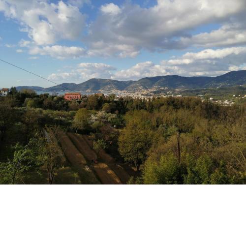 In campagna