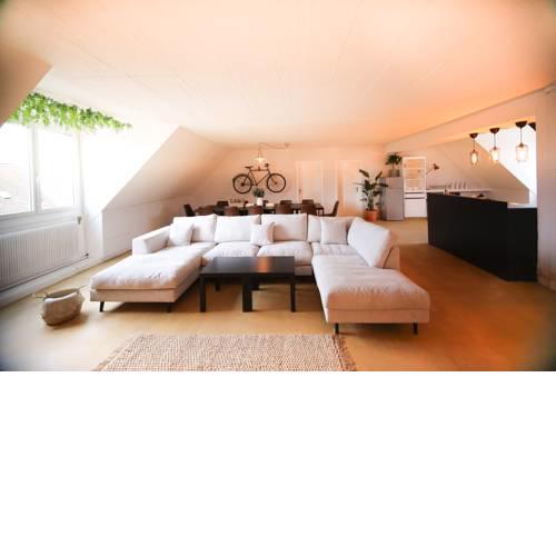 Industrial Chic Rooftop - 20 Beds - Zurich City