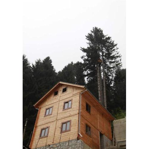 İnka Apart House