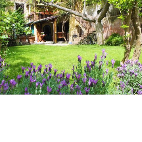 Inn The Garden Guest House