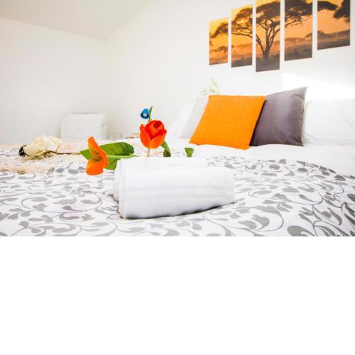 InnPisaRentals - Sofy Apartment