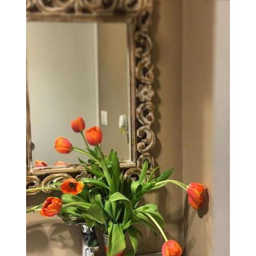 Interno 43