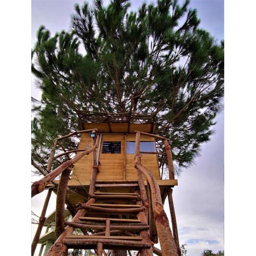 Ionian Treehouse Ecohosting