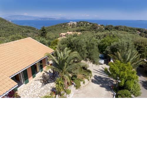 Ipsos Panoramic Views