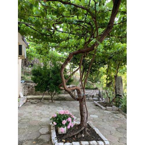 Isaraj Guest House
