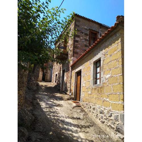 Isida Stone House