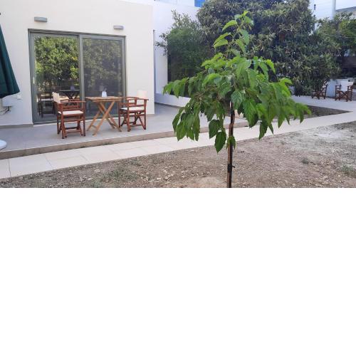 Ismini Apartments Myrtos