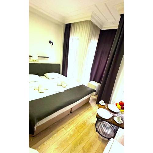 Istanbul Altun Life Hotel