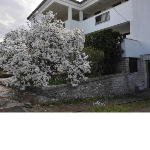 ISTRA