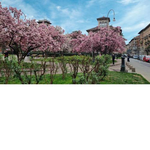 Italianway - Piazza Niccolo Tommaseo 2A