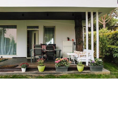 Ivy Lalzi Bay Beach House